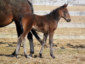 Mom and Baby Girl